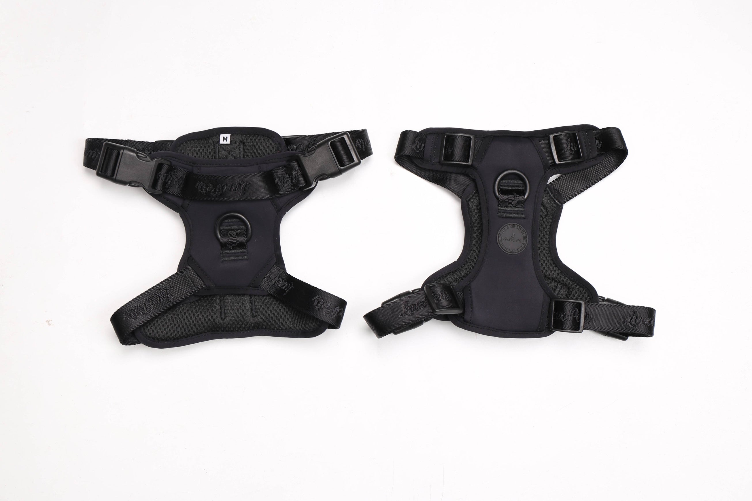 Harness