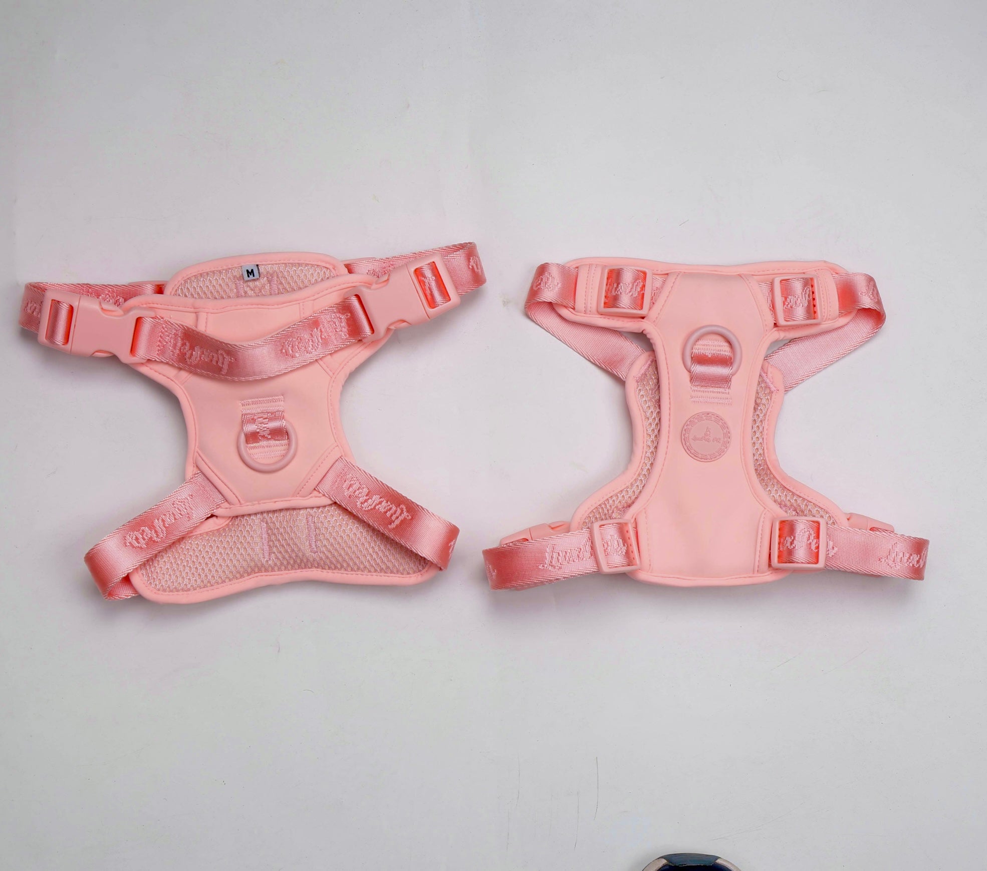 Harness