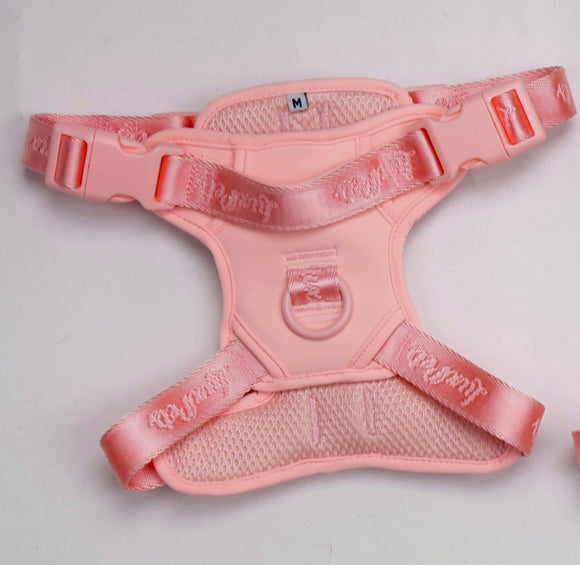 Harness