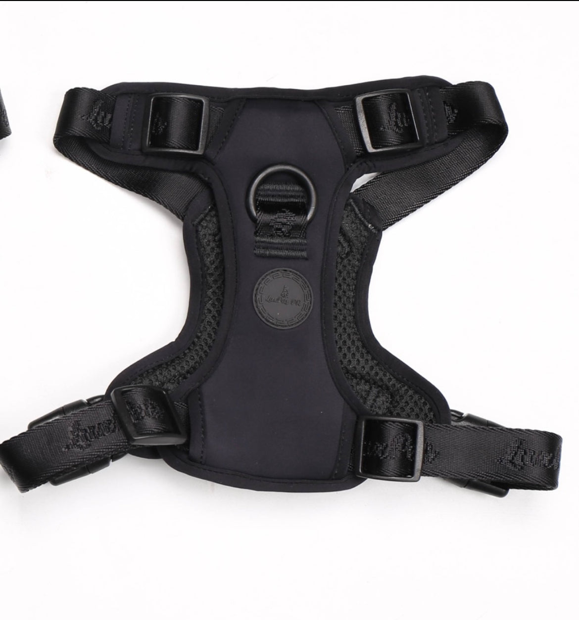 Harness