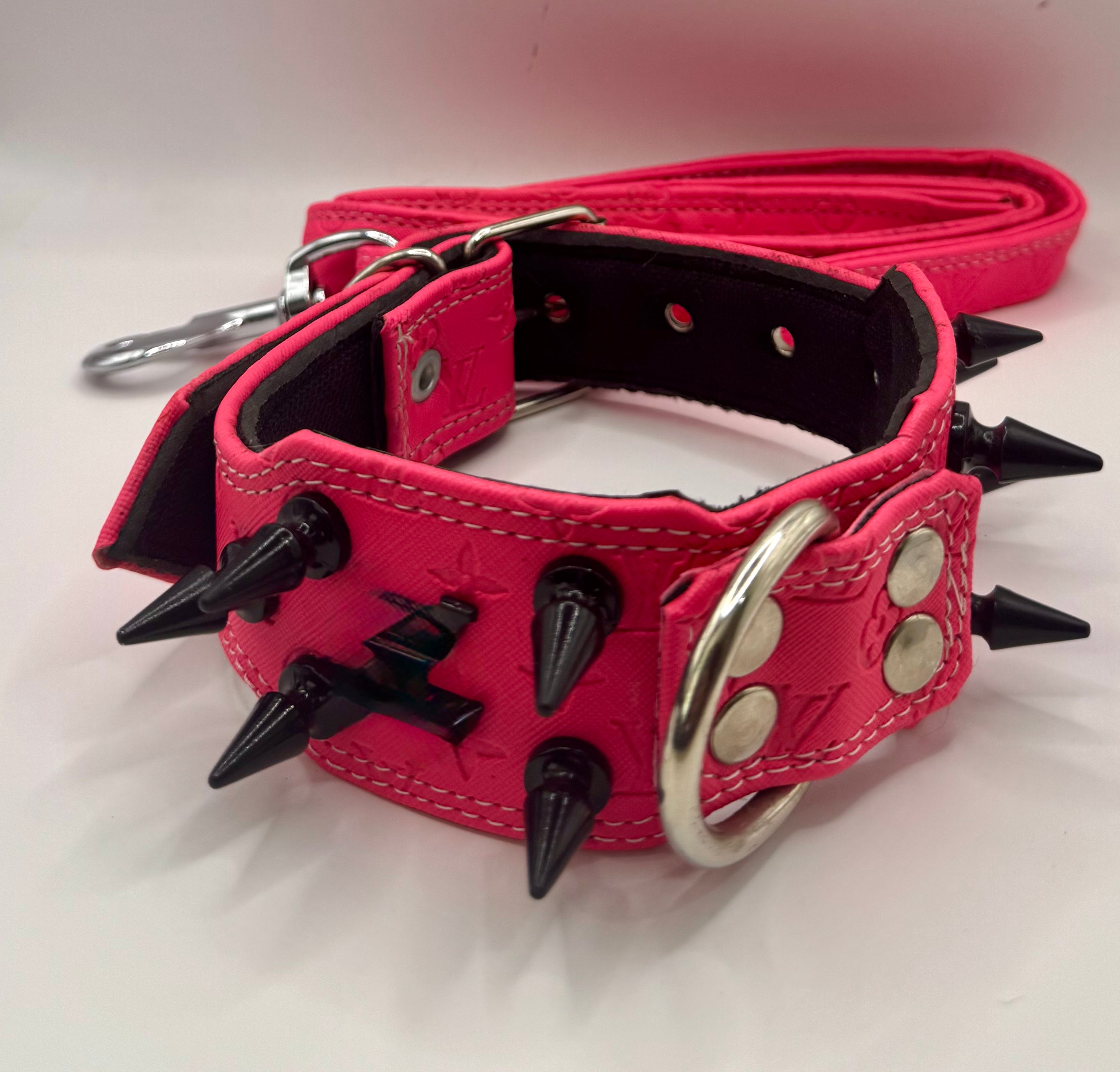 collar y leash